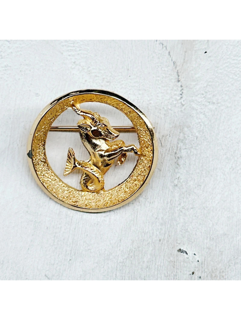 5326mc. Capricorn Park Lane Brooch